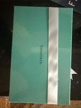 Tiffany & Co. Robin's Egg Blue Gift Box with White Ribbon